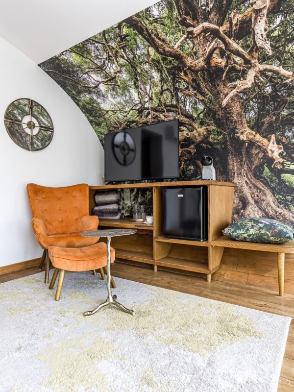 Radailiu dvaras-270 – kopija